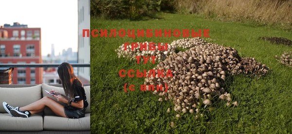 стафф Верхний Тагил
