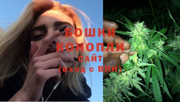 стафф Верхний Тагил