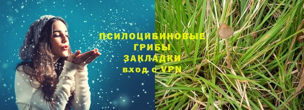 стафф Верхний Тагил