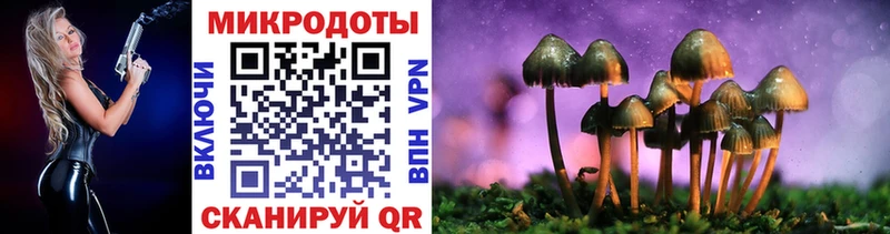 Псилоцибиновые грибы Psilocybe  нарко площадка клад  Калининград  продажа наркотиков 